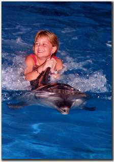 Schwimmen mit den Delphinen!