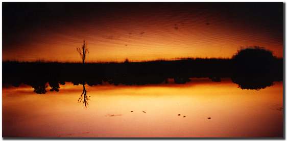 Sunset at Kakadu National Park